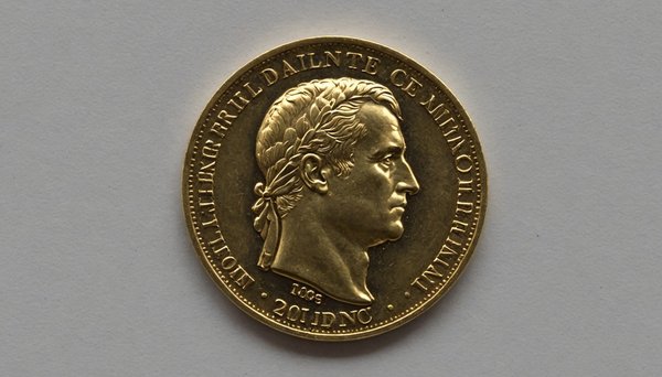 La pièce de 20 francs napoléon : histoire et valeur actuelle